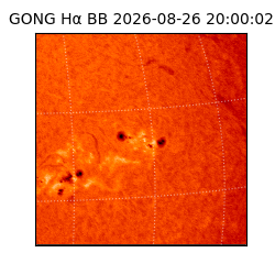 gong - 2026-08-26T20:00:02