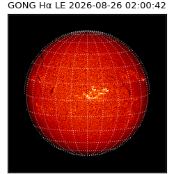 gong - 2026-08-26T02:00:42