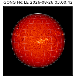 gong - 2026-08-26T03:00:42