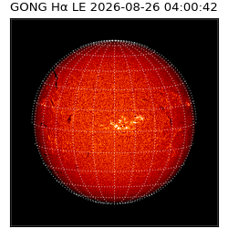 gong - 2026-08-26T04:00:42