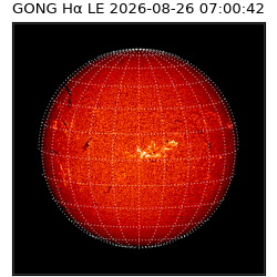 gong - 2026-08-26T07:00:42