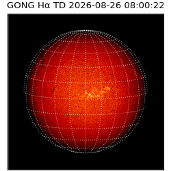 gong - 2026-08-26T08:00:22