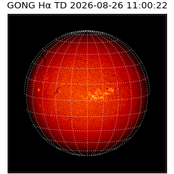 gong - 2026-08-26T11:00:22