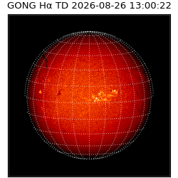 gong - 2026-08-26T13:00:22