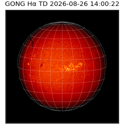 gong - 2026-08-26T14:00:22