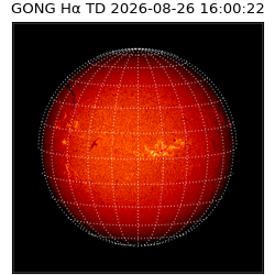 gong - 2026-08-26T16:00:22