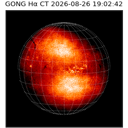 gong - 2026-08-26T19:02:42