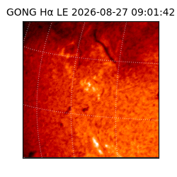 gong - 2026-08-27T09:01:42