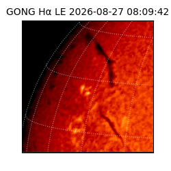 gong - 2026-08-27T08:09:42