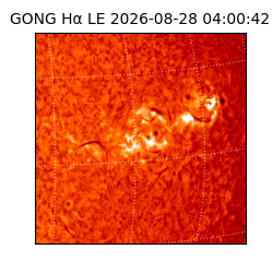 gong - 2026-08-28T04:00:42
