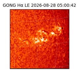 gong - 2026-08-28T05:00:42