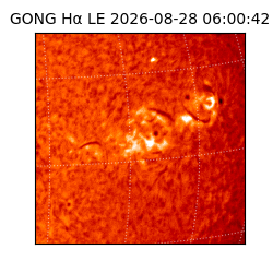 gong - 2026-08-28T06:00:42