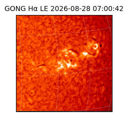 gong - 2026-08-28T07:00:42
