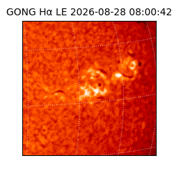 gong - 2026-08-28T08:00:42
