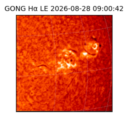 gong - 2026-08-28T09:00:42