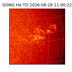 gong - 2026-08-28T11:00:22
