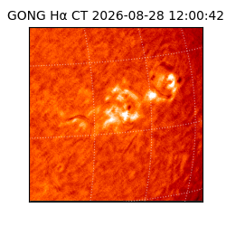 gong - 2026-08-28T12:00:42
