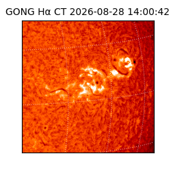 gong - 2026-08-28T14:00:42