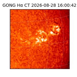 gong - 2026-08-28T16:00:42