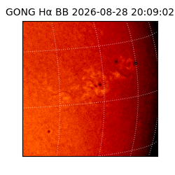 gong - 2026-08-28T20:09:02