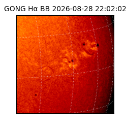 gong - 2026-08-28T22:02:02