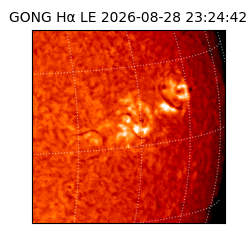 gong - 2026-08-28T23:24:42