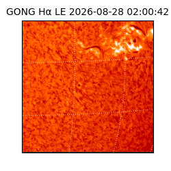 gong - 2026-08-28T02:00:42
