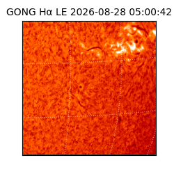 gong - 2026-08-28T05:00:42