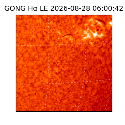gong - 2026-08-28T06:00:42