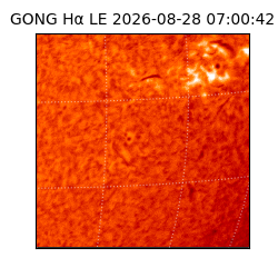 gong - 2026-08-28T07:00:42