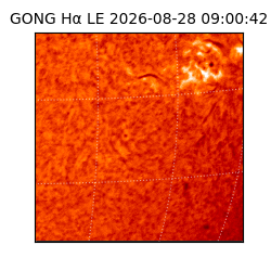 gong - 2026-08-28T09:00:42