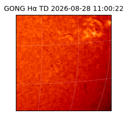 gong - 2026-08-28T11:00:22