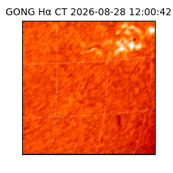 gong - 2026-08-28T12:00:42