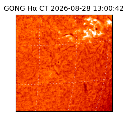 gong - 2026-08-28T13:00:42