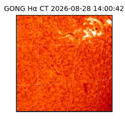 gong - 2026-08-28T14:00:42
