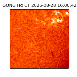 gong - 2026-08-28T16:00:42