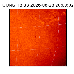gong - 2026-08-28T20:09:02