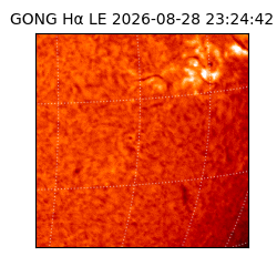 gong - 2026-08-28T23:24:42