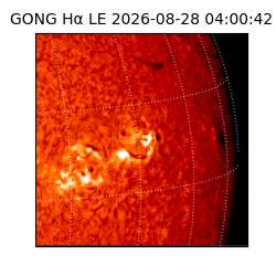 gong - 2026-08-28T04:00:42