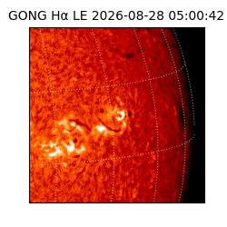 gong - 2026-08-28T05:00:42