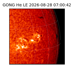 gong - 2026-08-28T07:00:42
