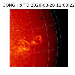 gong - 2026-08-28T11:00:22