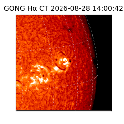 gong - 2026-08-28T14:00:42