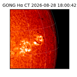 gong - 2026-08-28T18:00:42