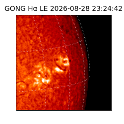 gong - 2026-08-28T23:24:42