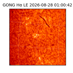 gong - 2026-08-28T01:00:42