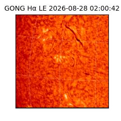 gong - 2026-08-28T02:00:42