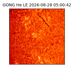 gong - 2026-08-28T05:00:42