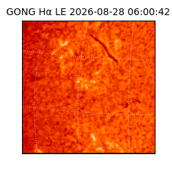 gong - 2026-08-28T06:00:42