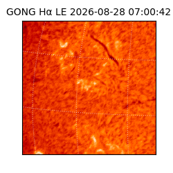 gong - 2026-08-28T07:00:42